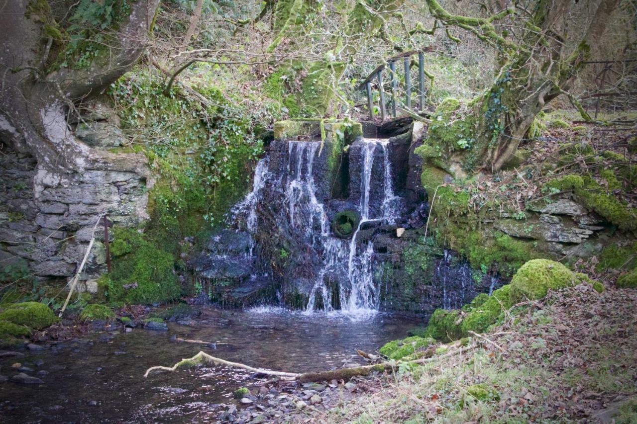 Waterfall Cottage 朗斯顿 外观 照片
